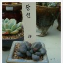 진원농장2 이미지