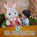 바니베어뮤지엄 | 경주 바니베어 뮤지엄 29개월 아기랑 다녀온 후기