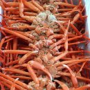 더조은수산 이미지