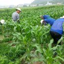 고흥읍사무소 이미지