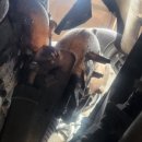 스마일카전문정비 이미지