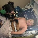 로렌이랑 도도네집 이미지