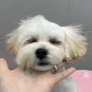 포에버위드유 살롱 이미지
