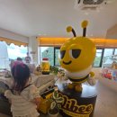 100만 유튜버 프응 카페, 바이비(Vibee) 방문 후기🍯🐝