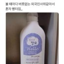 달리오헤어/대구워케이션/핸드트립/토요코인/멘지/접속/동전노래방/소두불식당/스타벅스대구종로고택점)