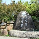 정은꽃농원 티스토리