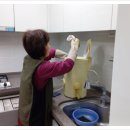 클린스쿨대전 이미지