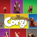 프린스 코기 이미지