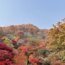 아름다운 숲길 화장실 이미지