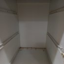 [공지] 이사청소)대조동 투룸
