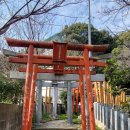 번데미 공원 | [2026.3] 후쿠오카: 하카트 포트 타워 &amp; 니시공원 &amp; 호텔 라 포레스타(싱글)