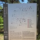 경주 삼릉가는 길 (2026-5-31) 이미지