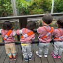 대방엘리트어린이집 이미지