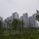 그랑시티자이2차건너편 이미지