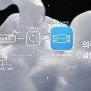 원바디핏 이미지