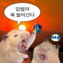 충주고 | 몰아쓰기