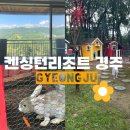 경주 켄싱턴 리조트 서관 디럭스 후기(가성비 숙소)