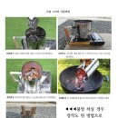 다이써여 네이버블로그