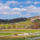 서정목장 이미지