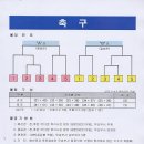 강구초등학교 이미지