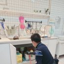 에코스테이 이미지