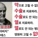 라파전위 이미지