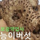 부림3길 이미지