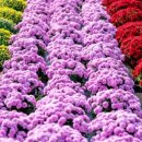 광안2동 이미지