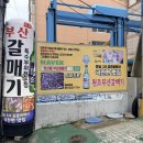 부산갈매기 | 부산시청고기집 '원조부산갈매기' 돼지 특수부위 맛집 후기