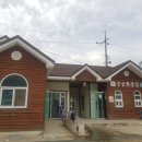 황금통발
