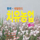 케이엠컨설팅 이미지