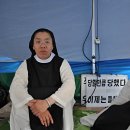 수정환경 이미지