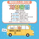 성인 취미로 배워본 성남위례댄스학원 케이댄스스튜디오 리얼 후기!