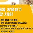 도그 팰리스 이미지