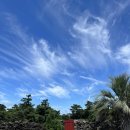 모아니스테이 이미지