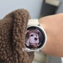 주정차26 | 사상 샌드피넛 두바이쫀득쿠키 두쫀쿠 후기