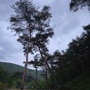 [부처님오신날 저녁, 진주 청곡사에서 마음을 울리다]