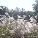 황룡친수공원 이미지