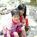 인삼사랑 Daum카페