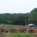 죽산농장 이미지