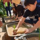 천안용소초등학교 이미지