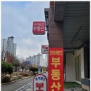 모아부동산공인중개사사무소 이미지