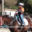 동부초등학교 율포분교 이미지