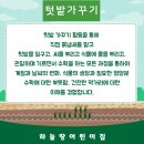 하늘땅어린이집 이미지