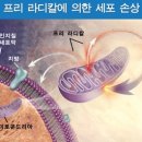 라온식품