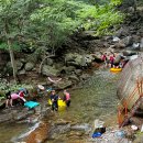 광양사슴농장 이미지