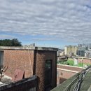 중앙동257 이미지