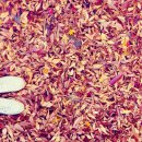 새에덴공인중개사사무소 이미지