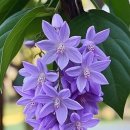 대운사지 이미지