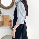 한스애견 이미지